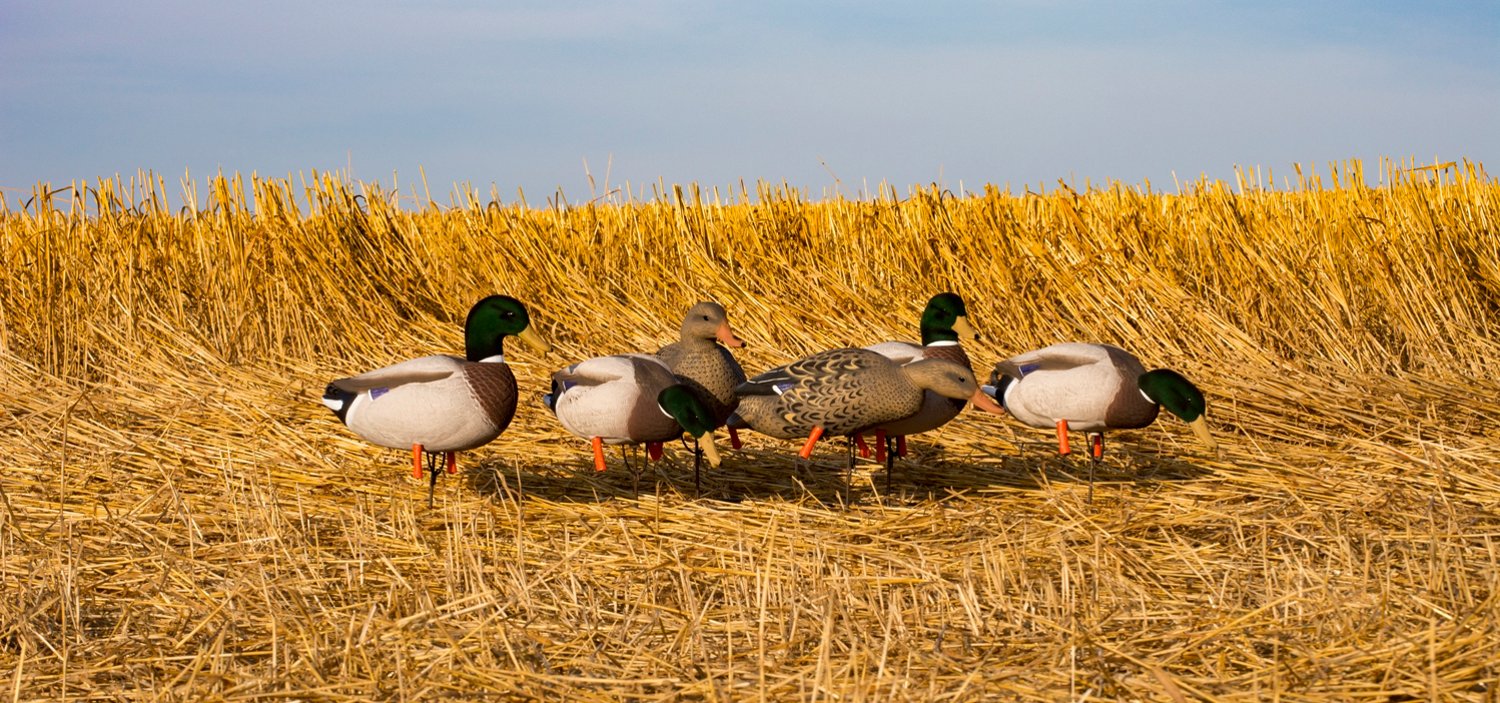 Higdon Outdoors Magnum Full Body Mallard Variety Pack Flocked Heads 6-Pack