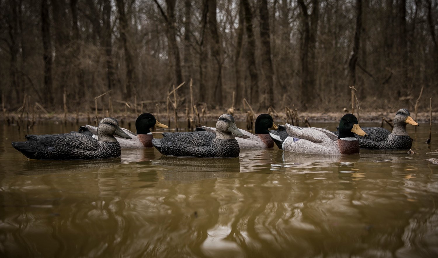 Higdon Battleship Powers Pack, Foam Filled, 3 Mallard Drakes, Flocked Heads, 3 Black Ducks 6-Pack - view number 3