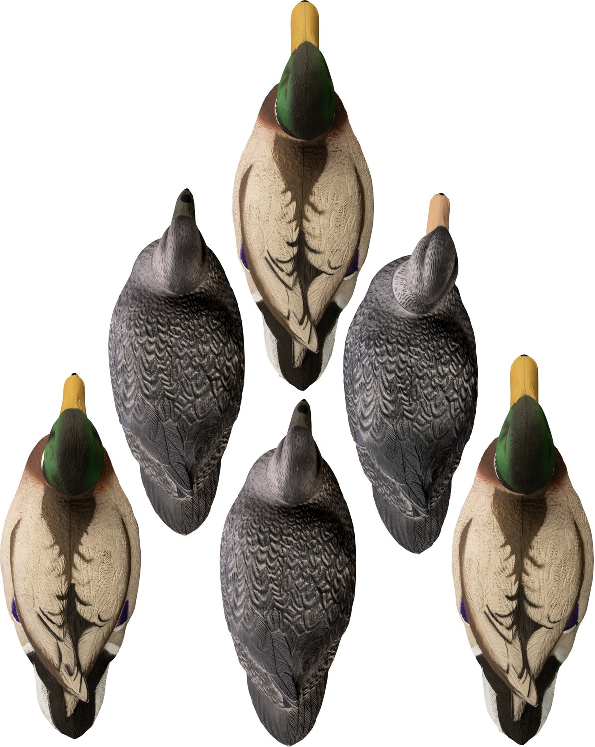 Higdon Battleship Powers Pack, Foam Filled, 3 Mallard Drakes, Flocked Heads, 3 Black Ducks 6-Pack - view number 2