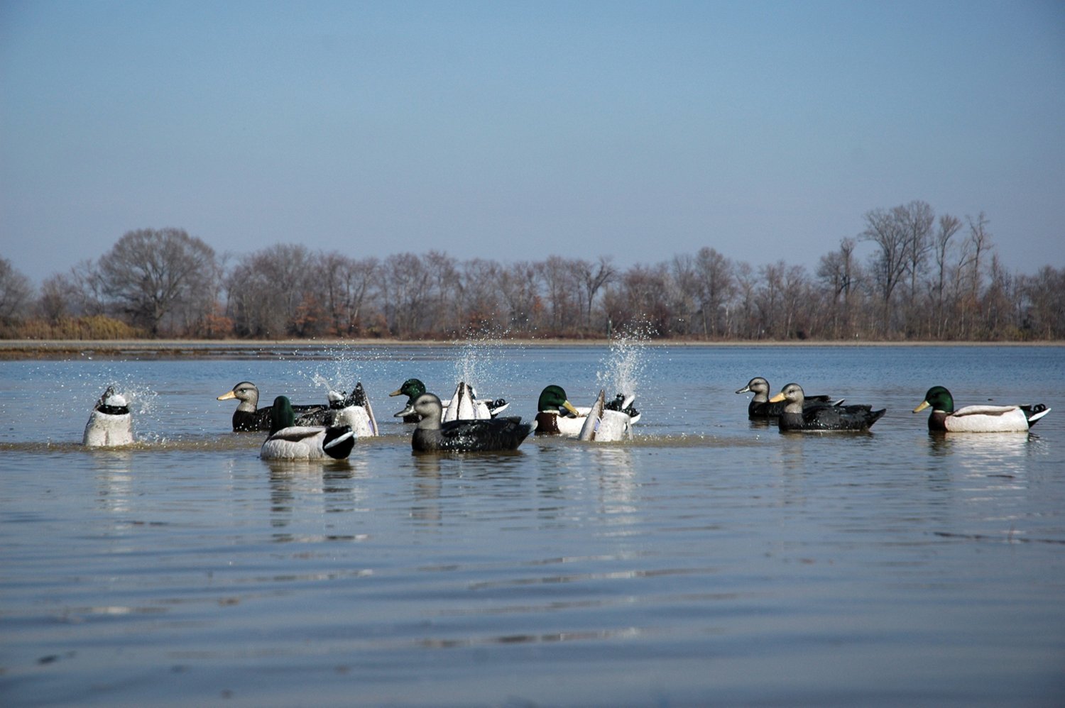 Higdon Pulsator 2 Plug n Hunt Hard Wire System                                                                                   - view number 6