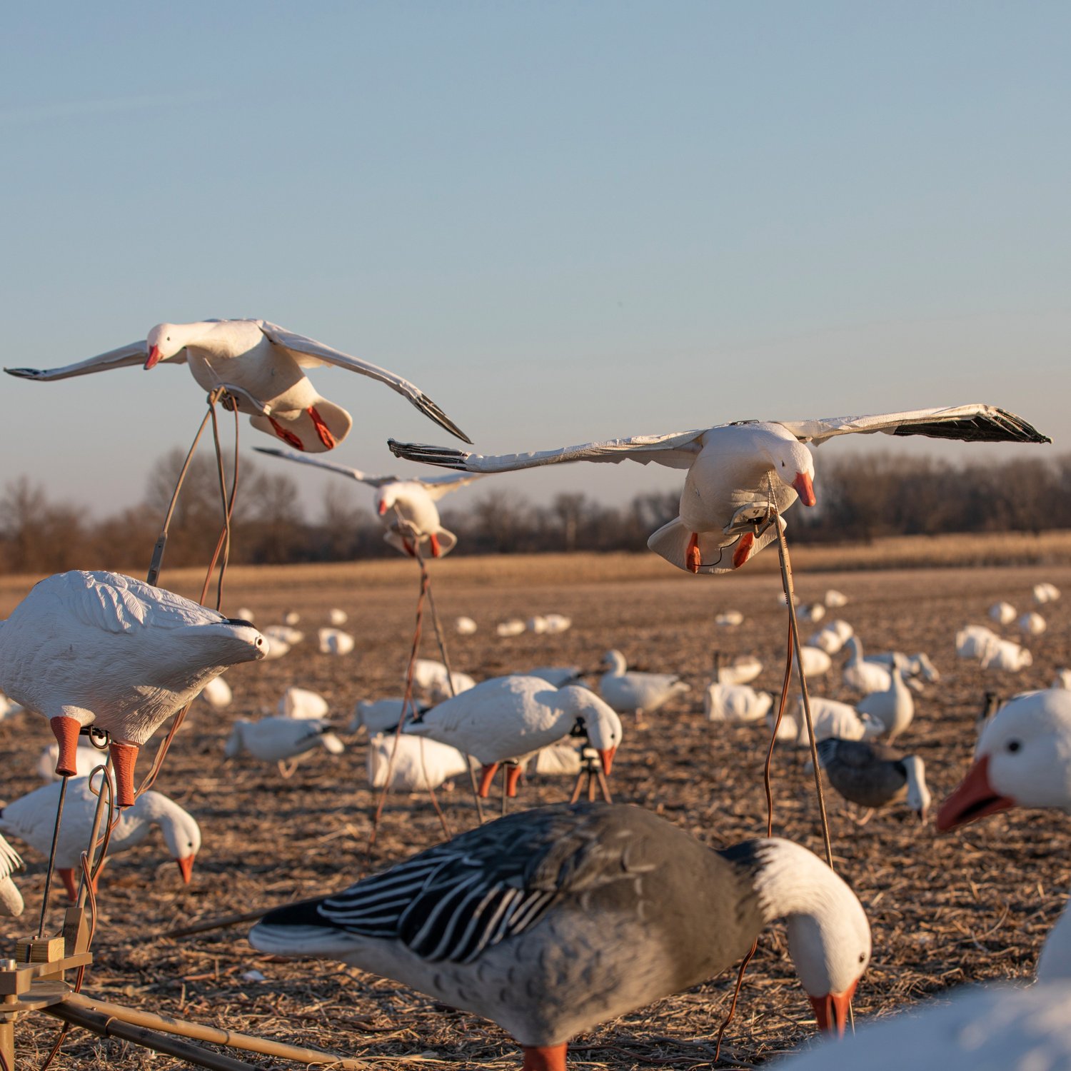 Higdon The Persauder Motorized Decoy Stand