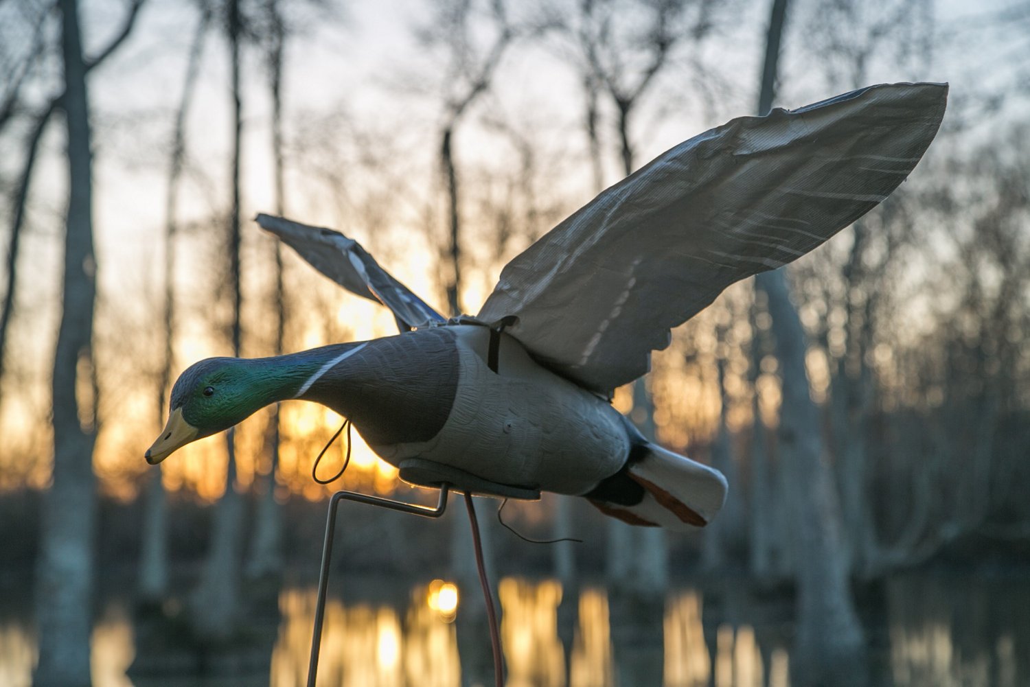 Higdon Clone Drake Mallard Decoy  - view number 6