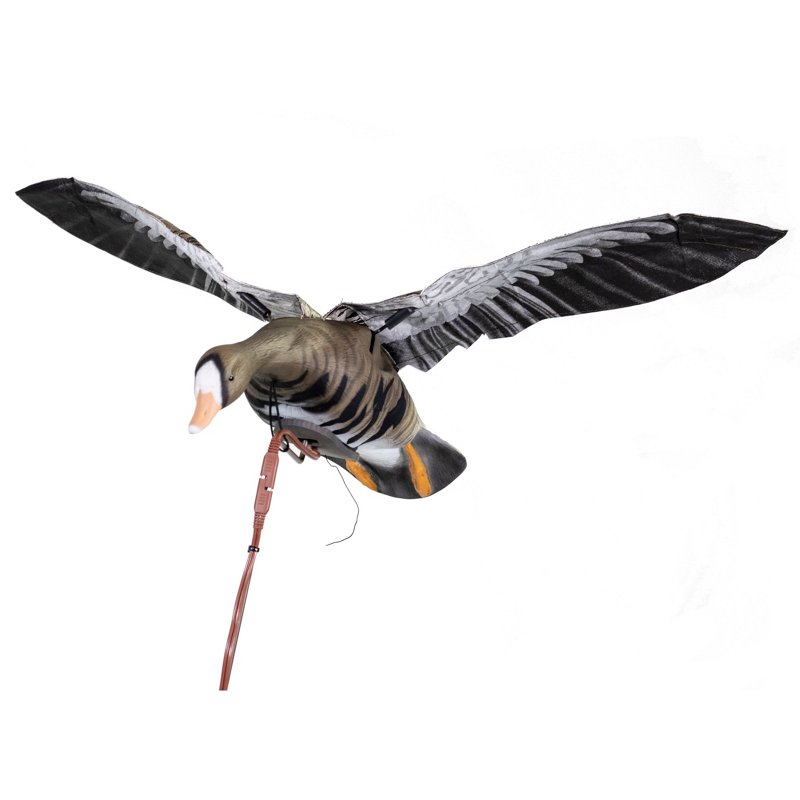Higdon Clone Specklebelly Goose Decoy - Decoys And Accessoriesories at Academy Sports