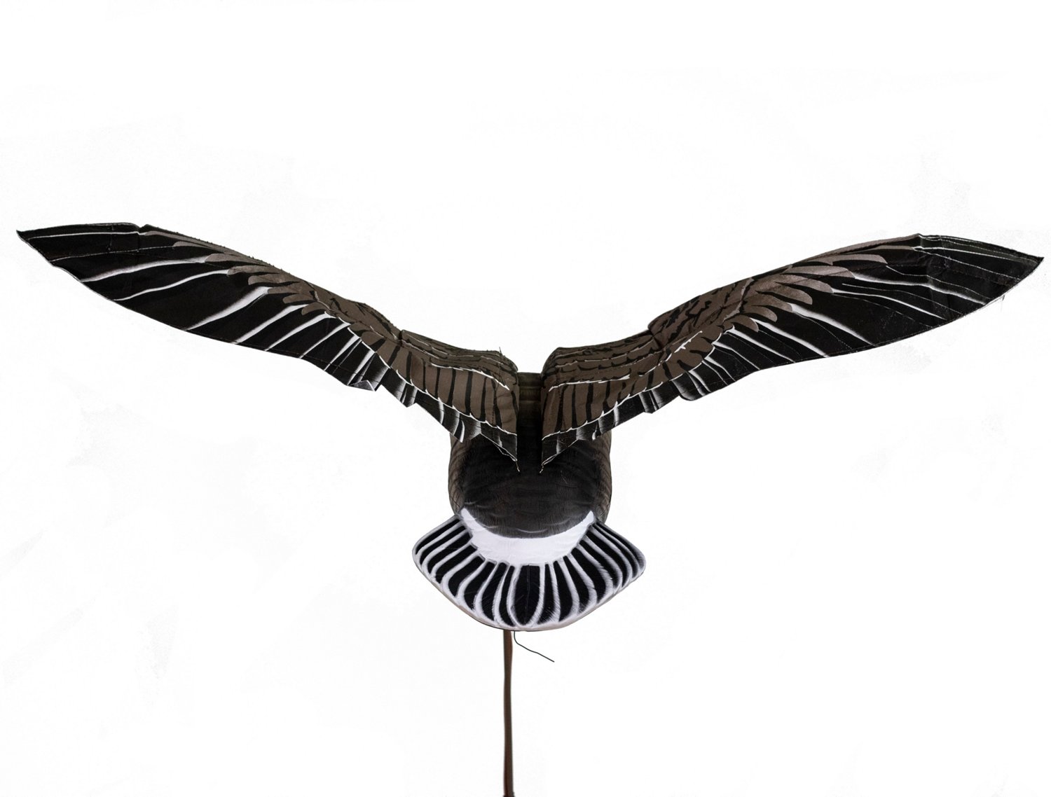 Higdon Clone Specklebelly Goose Decoy - view number 3