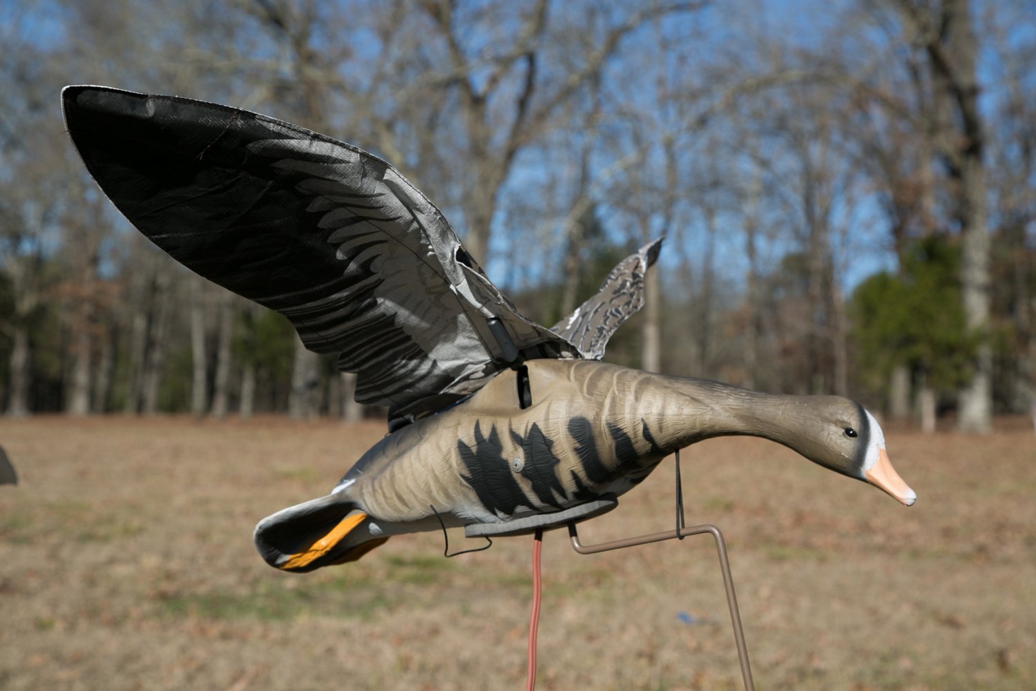 Higdon Clone Specklebelly Goose Decoy - view number 8