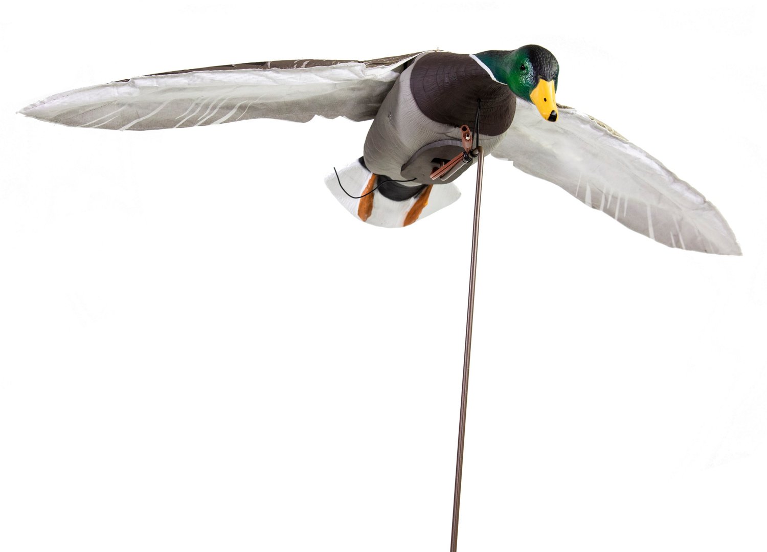 Higdon Clone Drake Mallard Decoy  - view number 2