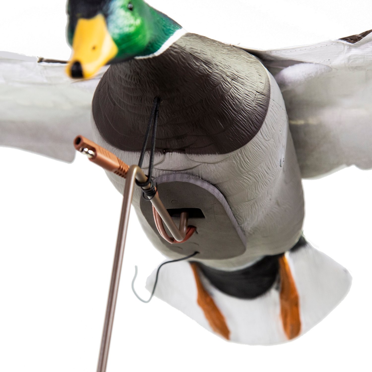 Higdon Clone Drake Mallard Decoy  - view number 4