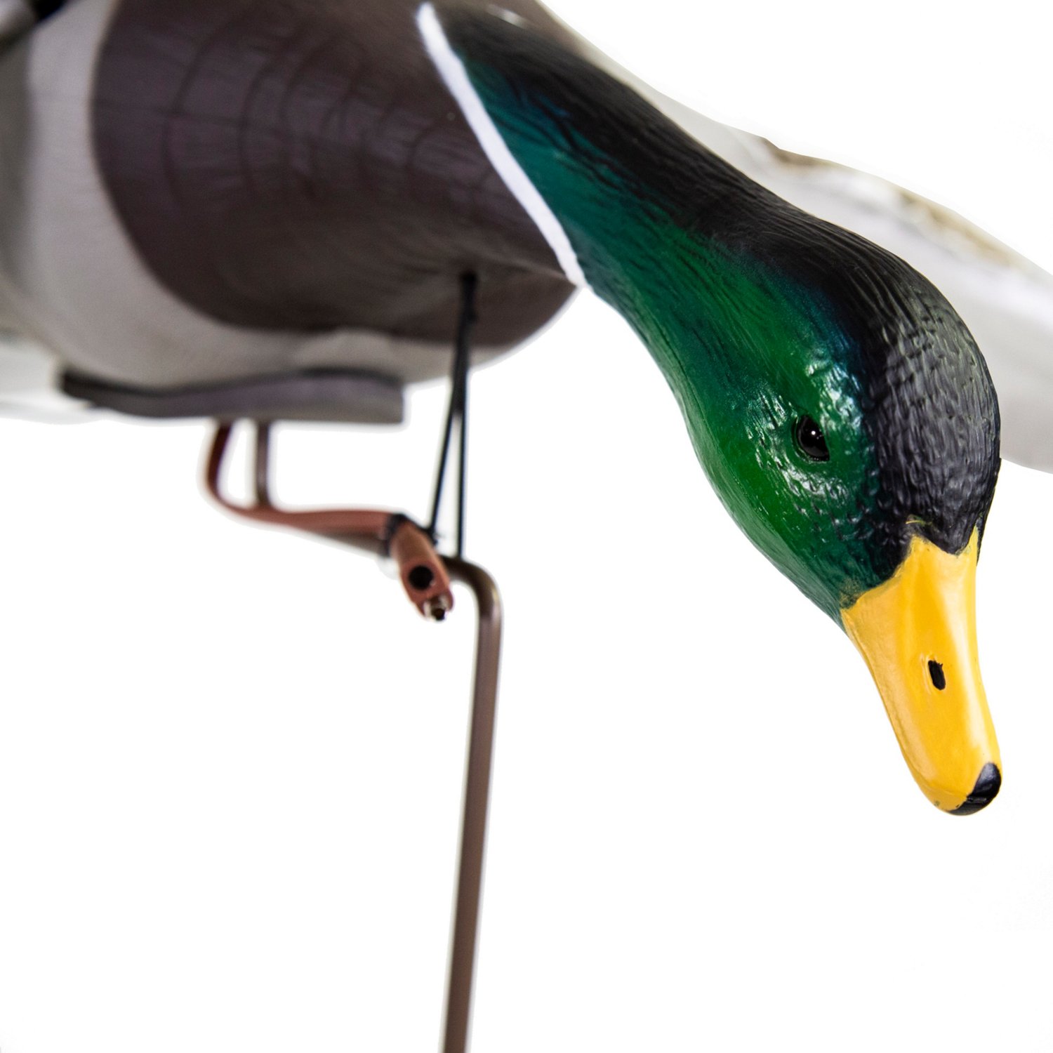 Higdon Clone Drake Mallard Decoy  - view number 5
