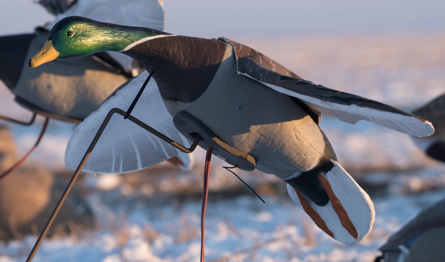 Higdon Clone Drake Mallard Decoy  - view number 7