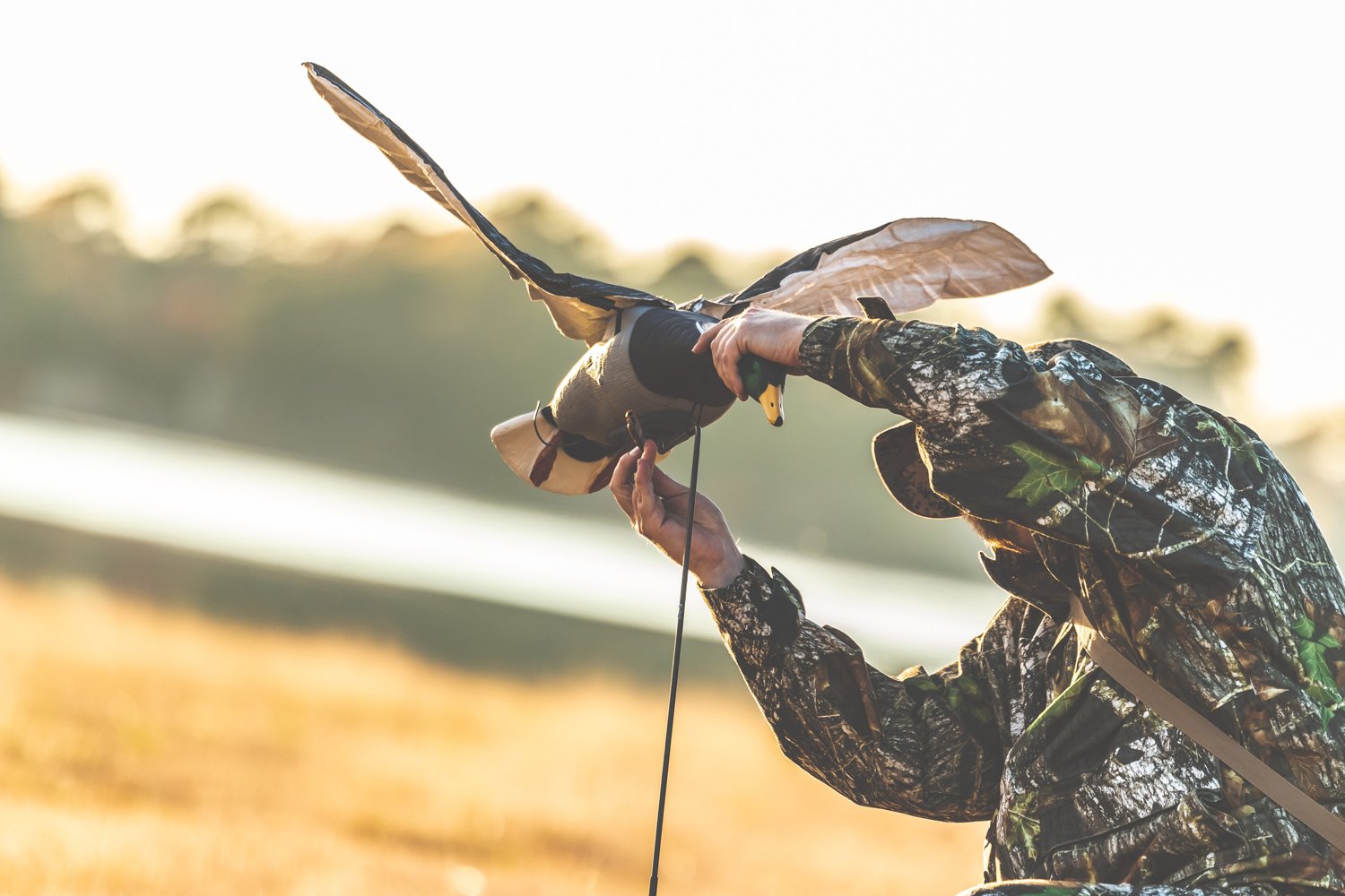 Higdon Clone Drake Mallard Decoy  - view number 8