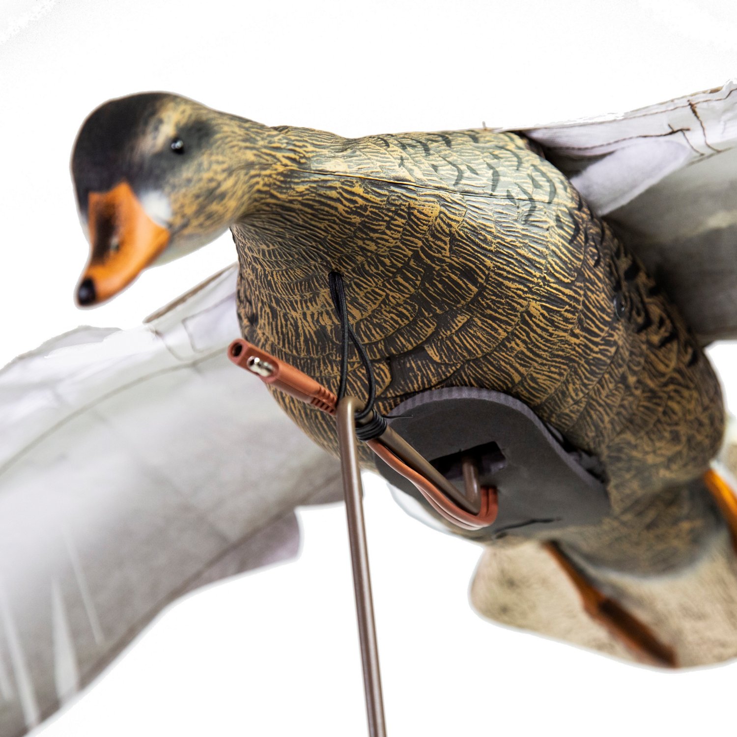 Higdon Clone Mallard Hen Decoy - view number 4
