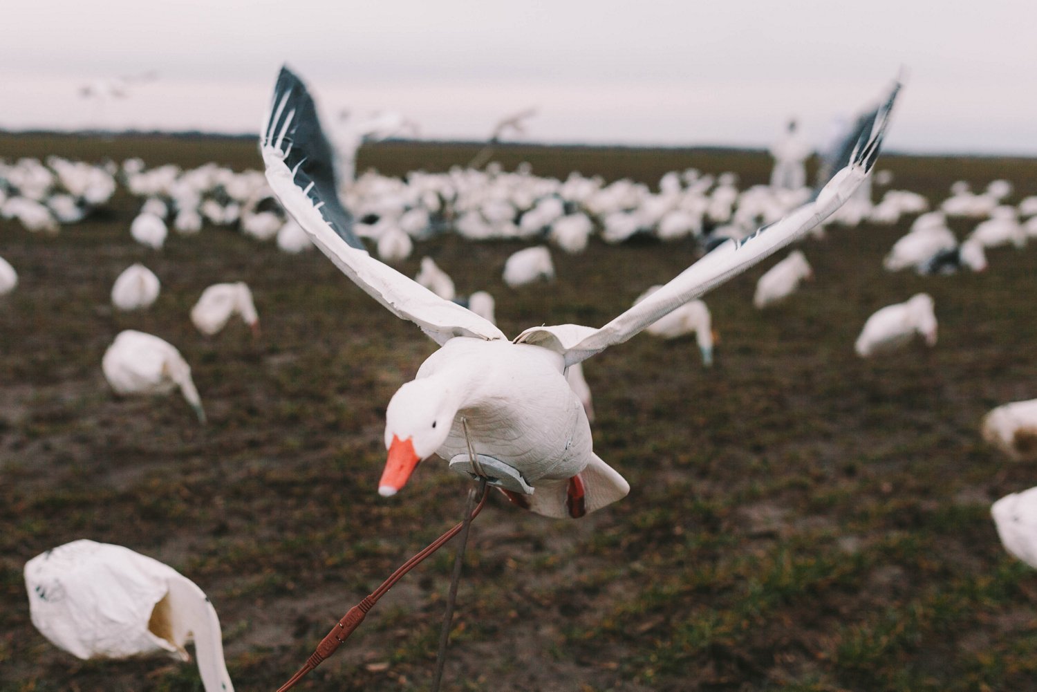 Higdon Clone Snow Goose Decoy