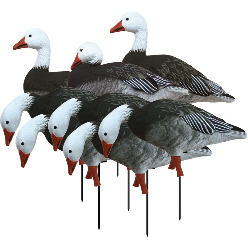 Higdon Apex Full Si… - image