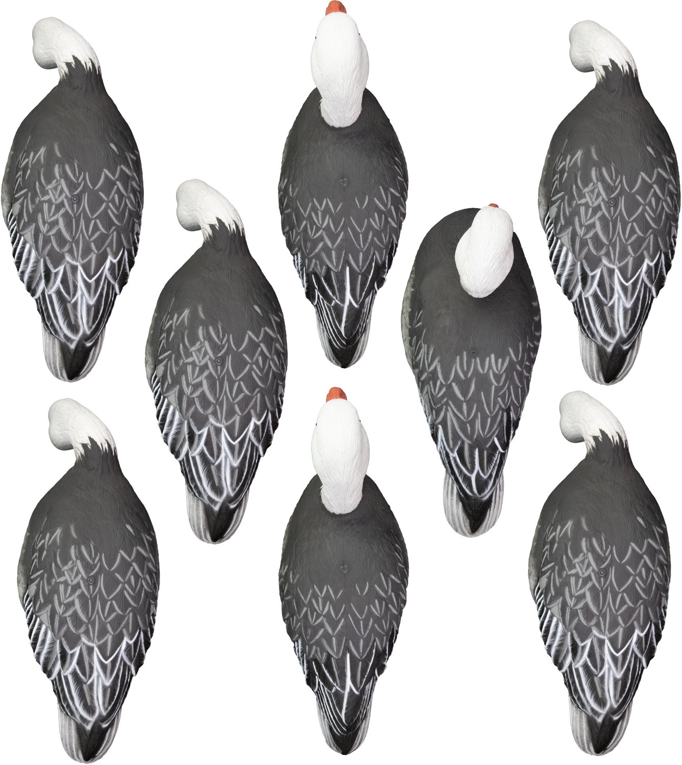 Higdon APEX Full Size Full Body Variety Pack, Blue 8-Pack - view number 2