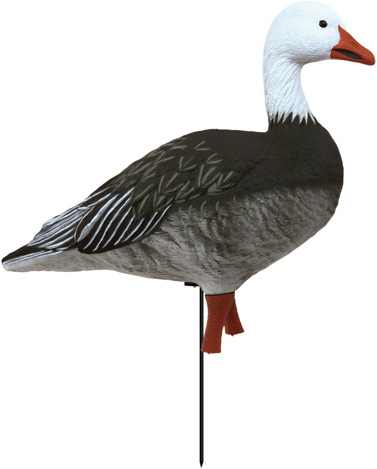 Higdon APEX Full Size Full Body Variety Pack, Blue 8-Pack - view number 5