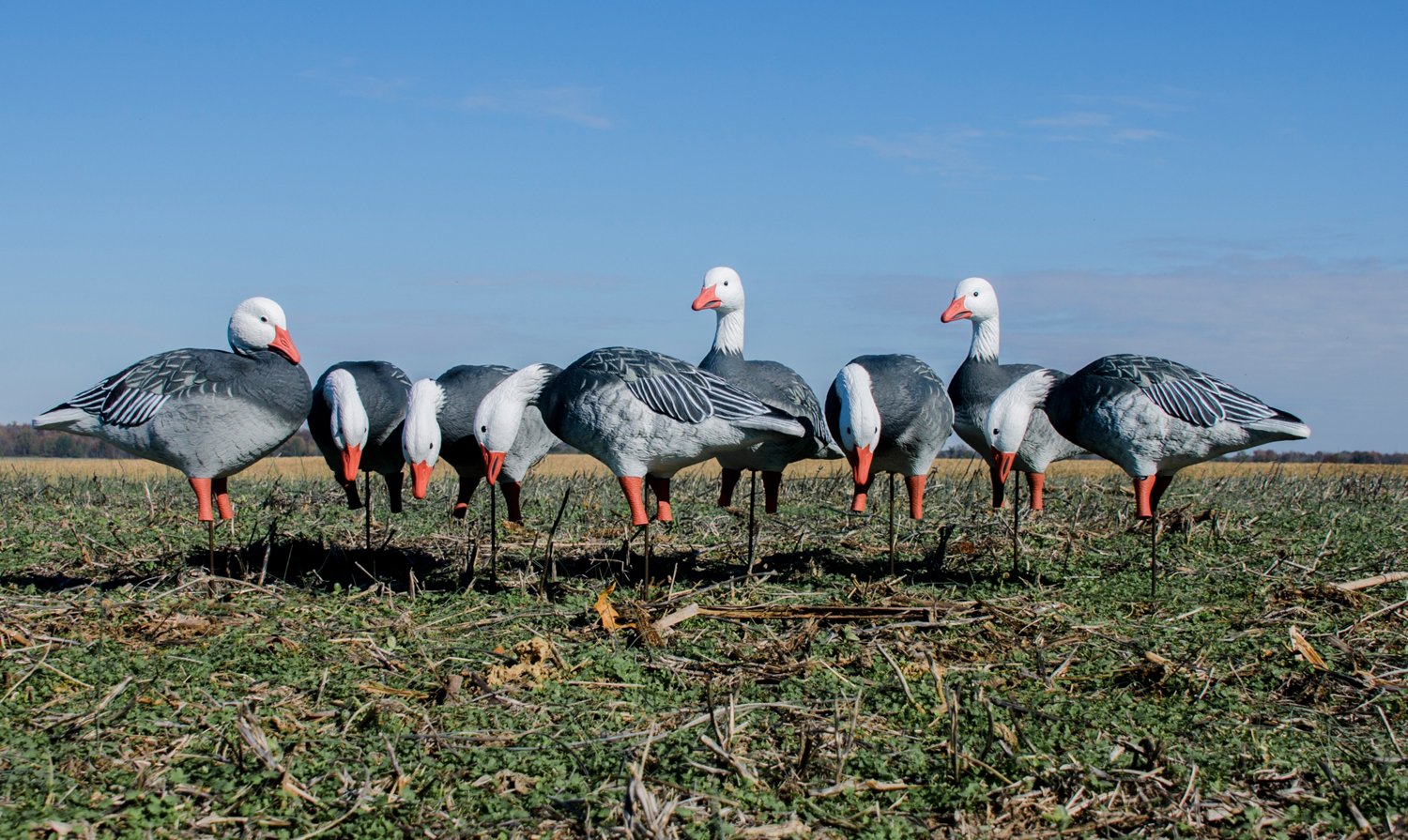 Higdon APEX Full Size Full Body Variety Pack, Blue 8-Pack - view number 6