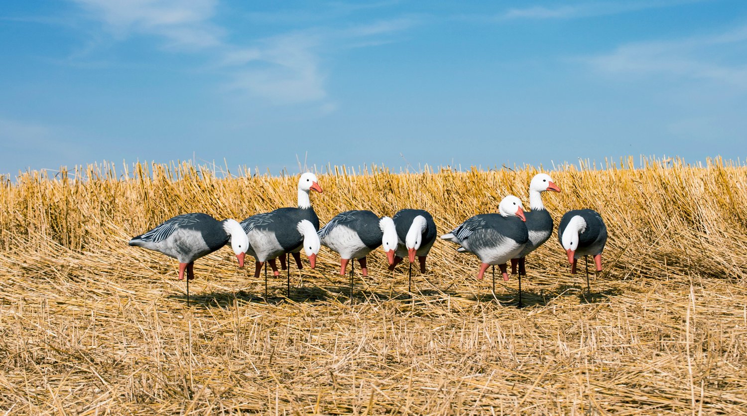 Higdon APEX Full Size Full Body Variety Pack, Blue 8-Pack - view number 7