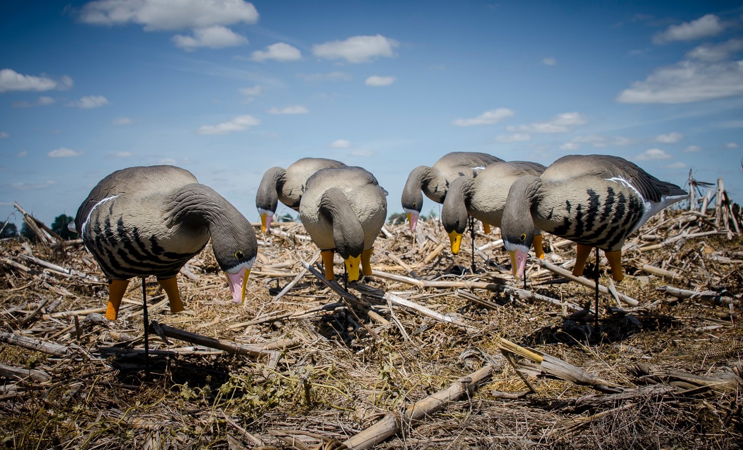 Higdon APEX Full Size Full Body TruFeeder, Specklebelly 6-Pack - view number 4