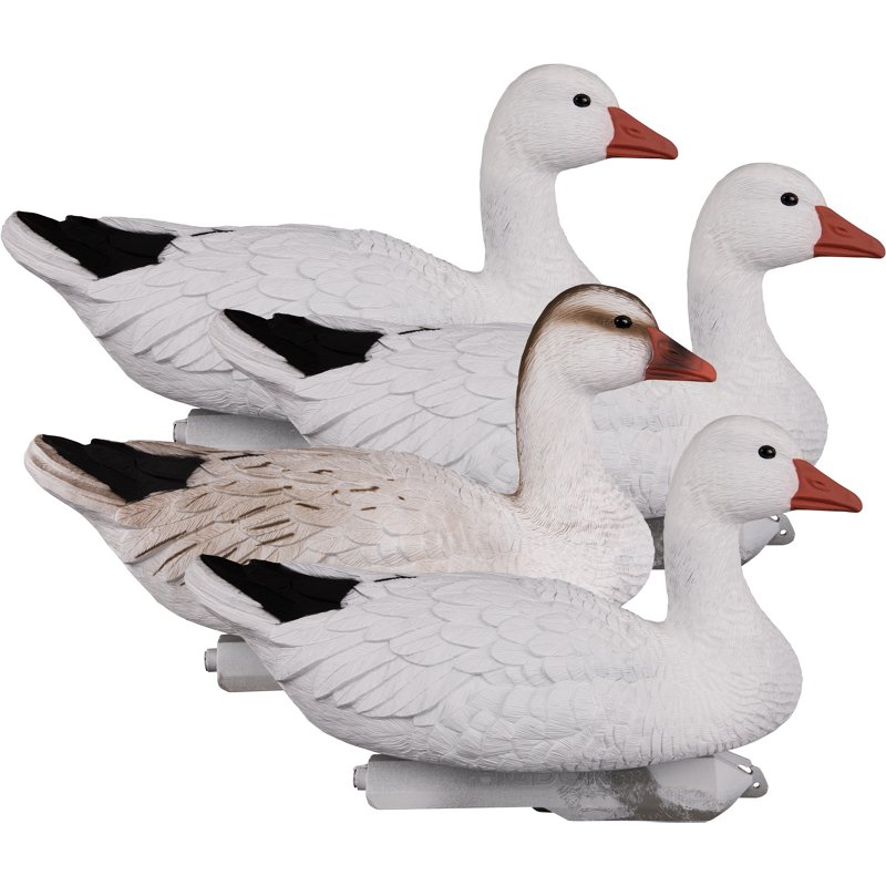 Higdon Full Size Goose Floater, Snow 4-Pack - Decoys And Accessoriesories at Academy Sports