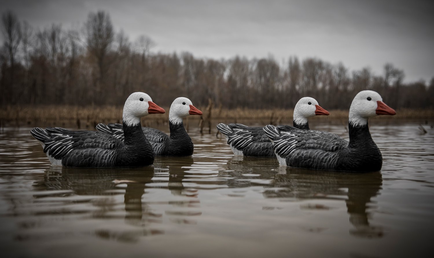 Higdon Full Size Goose Floater, Blue 4-Pack - view number 5