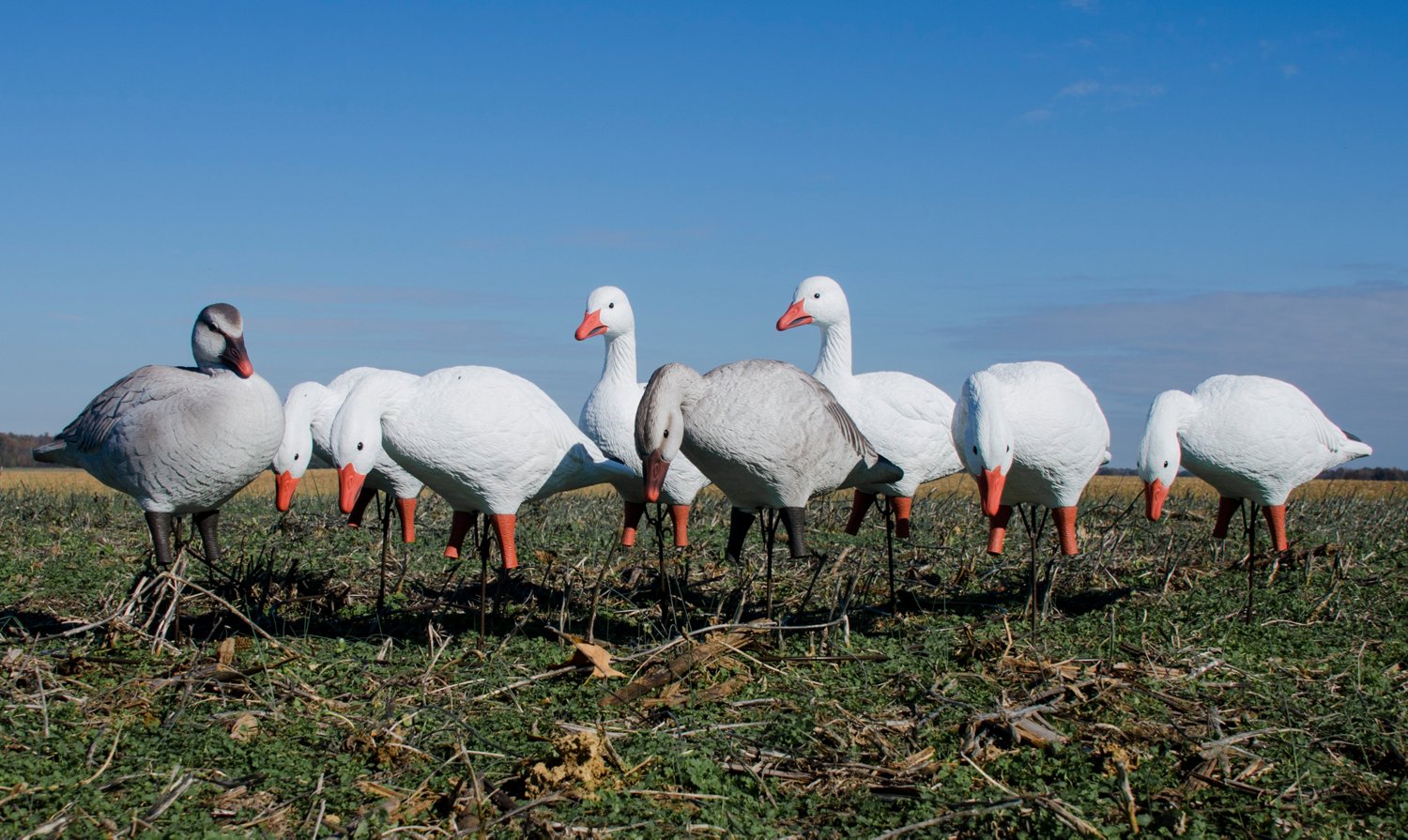 Higdon APEX Full Size Full Body Variety Pack, Snow/Juvenile 8-Pack - view number 8