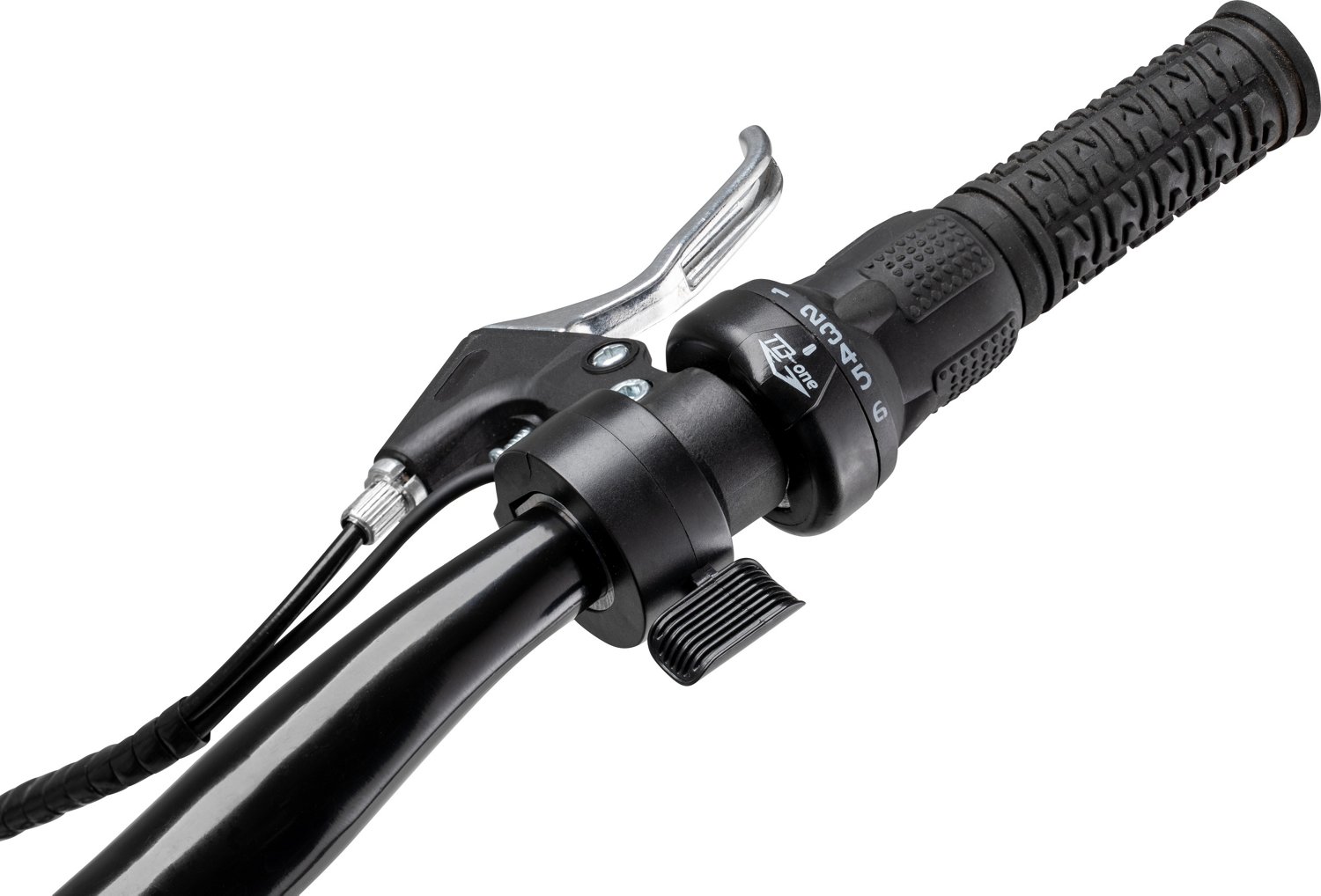 Schwinn Healy Ridge 24 E-Bike