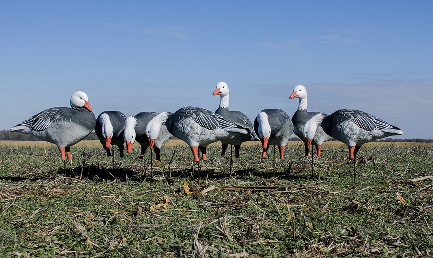 Higdon APEX Full Size Full Body Variety Pack, Blue 8-Pack - view number 8