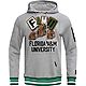 Pro Standard Men's Florida A&M University Homecoming Hoodie                                                                      - view number 1 selected