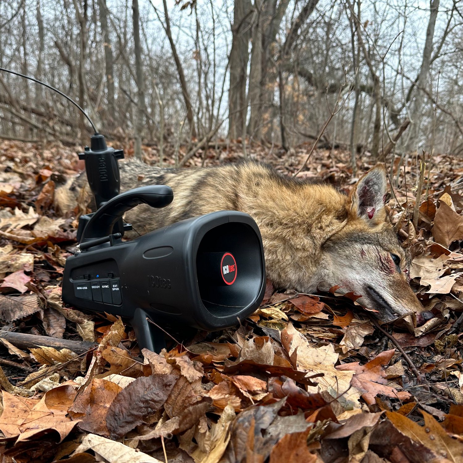 ICOtec NIGHT STALKER+ Professional Predator Call with Bluetooth                                                                  - view number 6