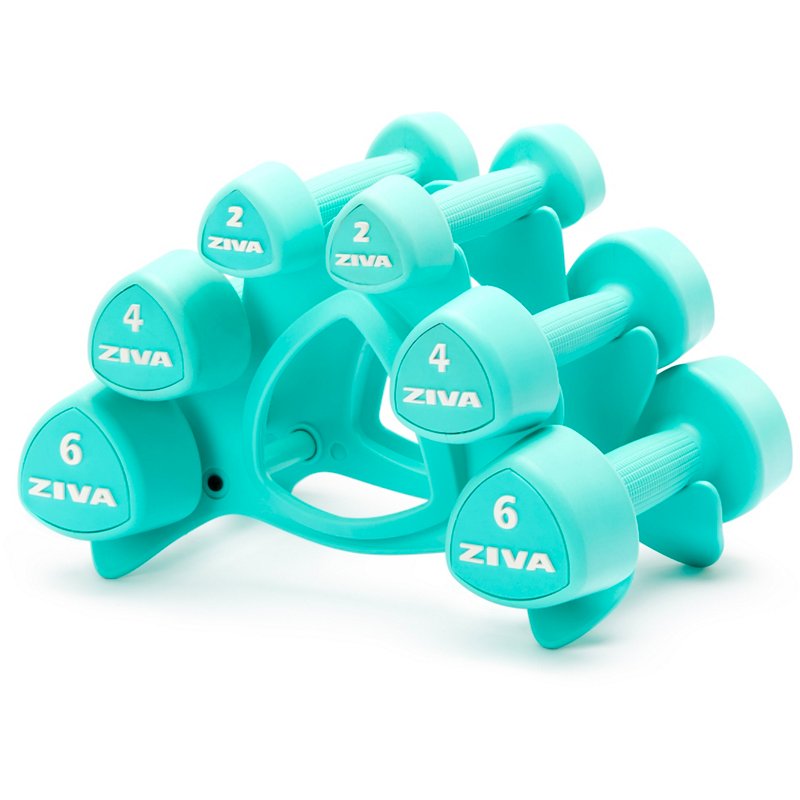 Ziva Chic 24 Lbs Du… - image