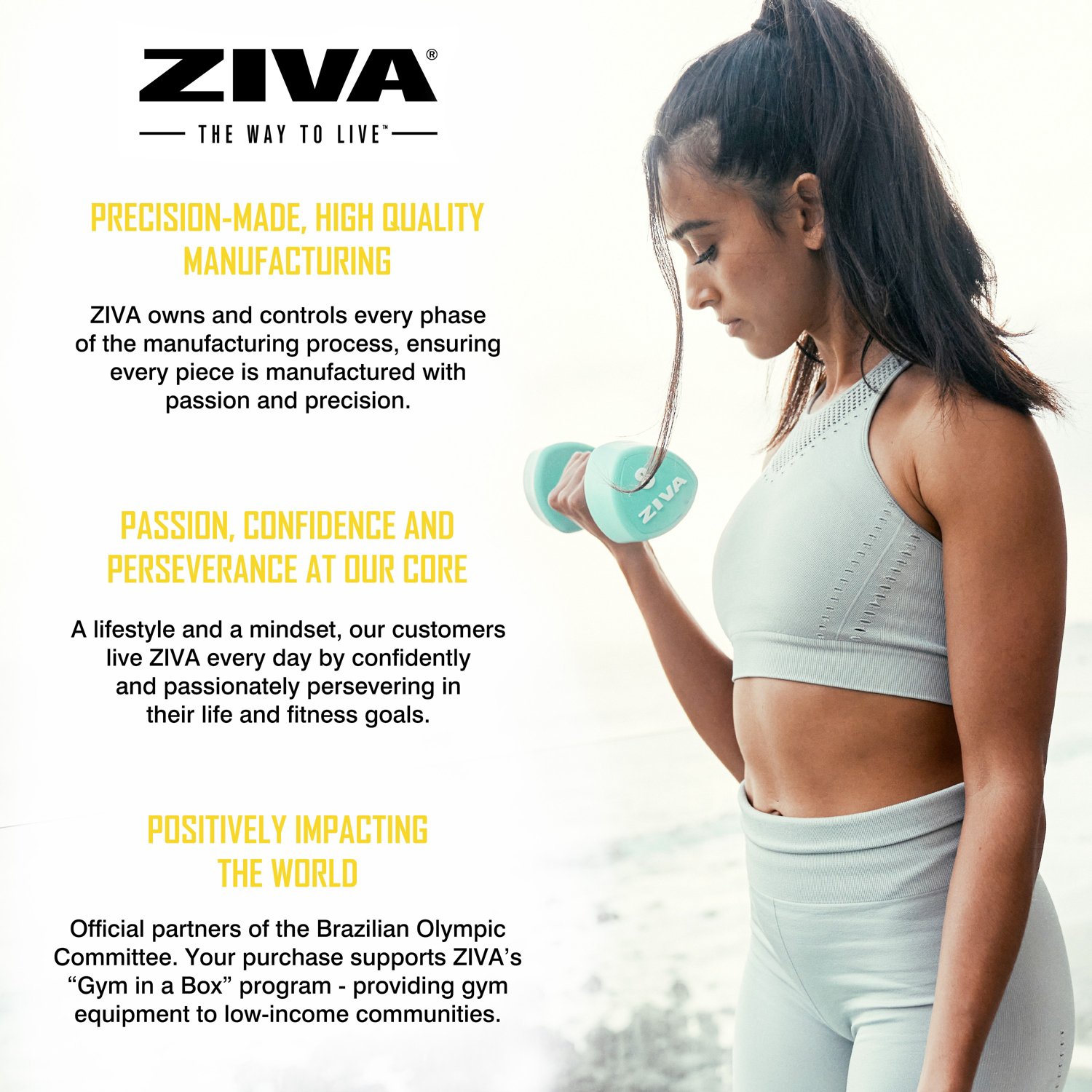 ZIVA Chic 24 lbs Dumbbell Set with Stand - view number 8