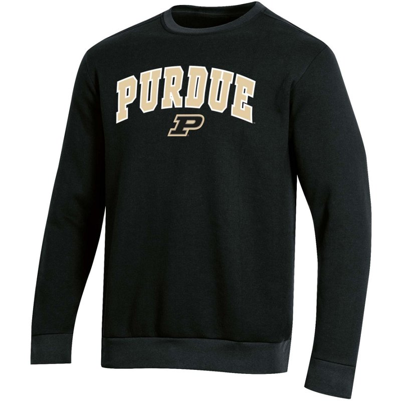 Champion Men's Purd… - image