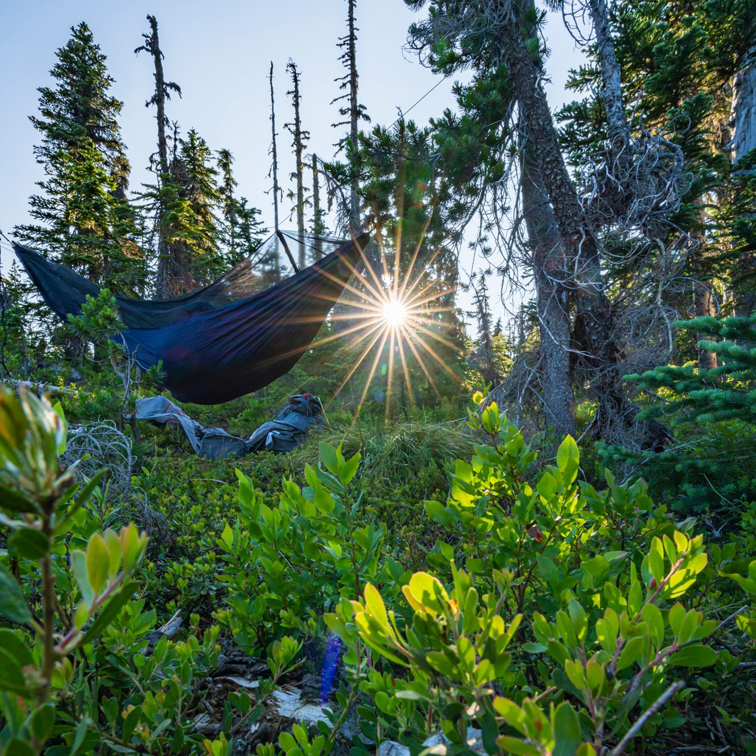 Grand Trunk Skeeter Beeter XT Hammock                                                                                            - view number 2