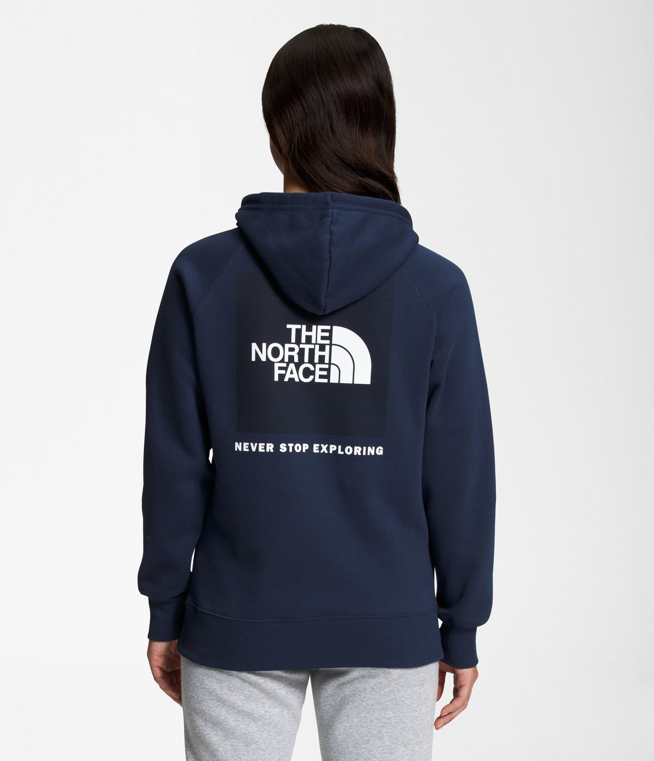 The north face 2024 navy blue hoodie