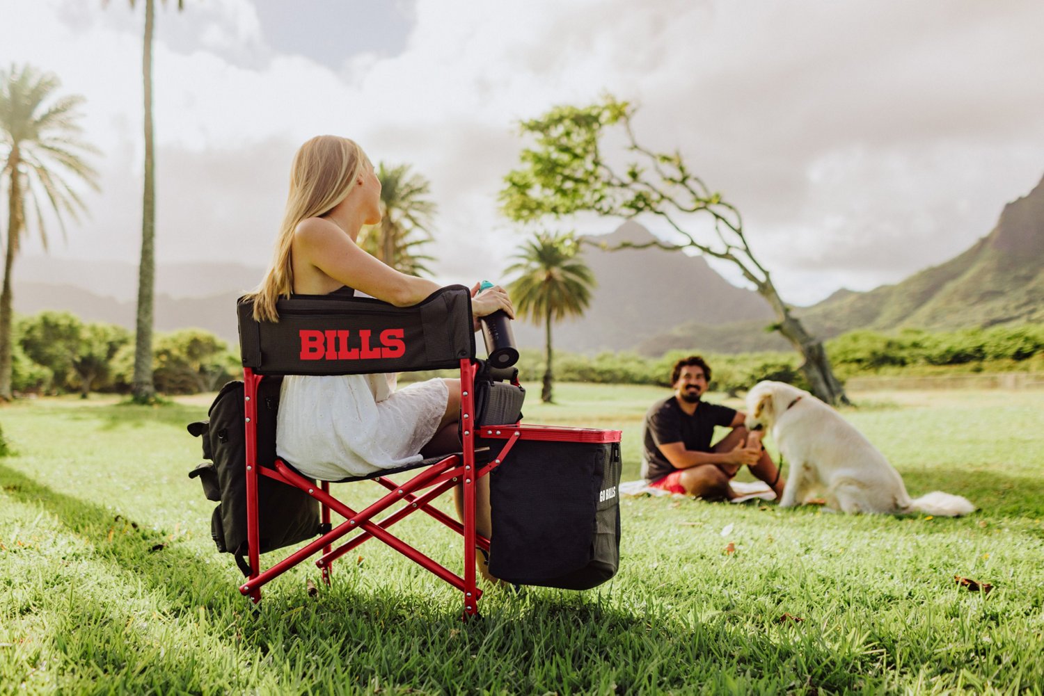 Picnic Time Buffalo Bills All-in-One Fusion Camping Chair - view number 6