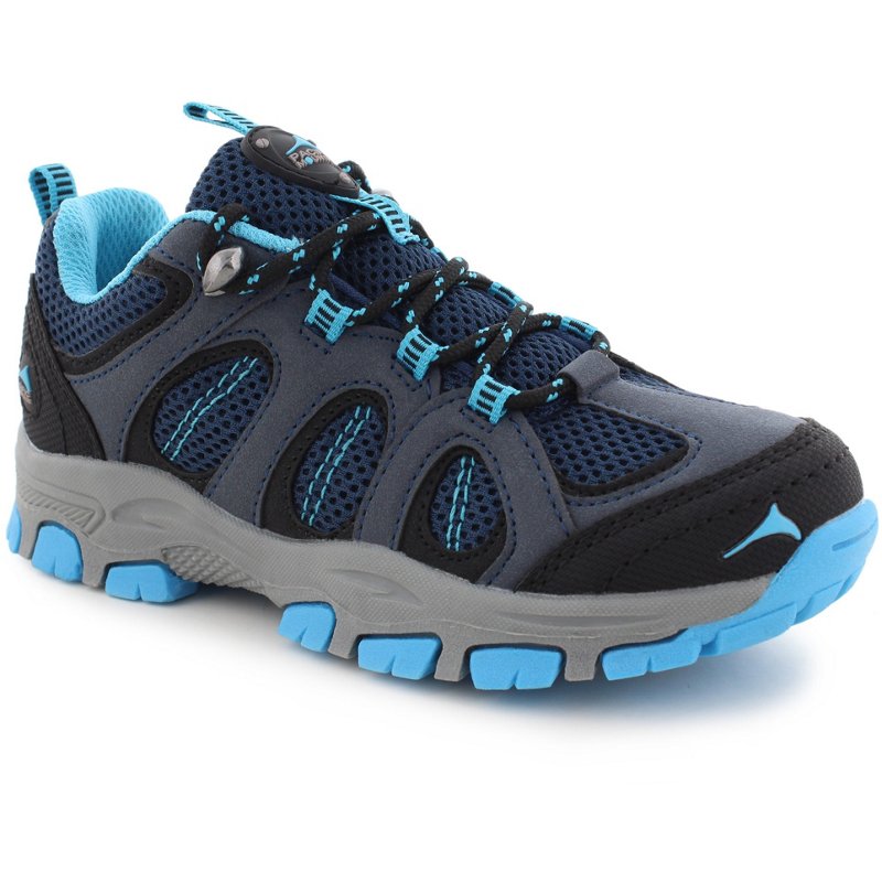 Pacific Mountain Ki… - image