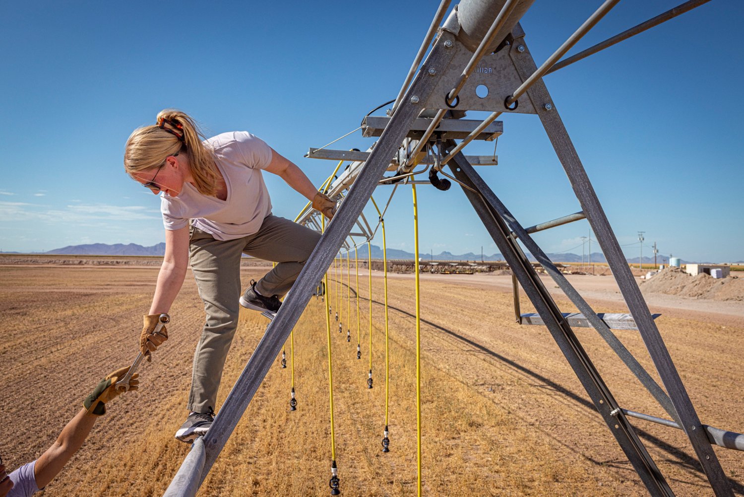 Carhartt Women's Force Relaxed Fit Ripstop Work Pants                                                                            - view number 8