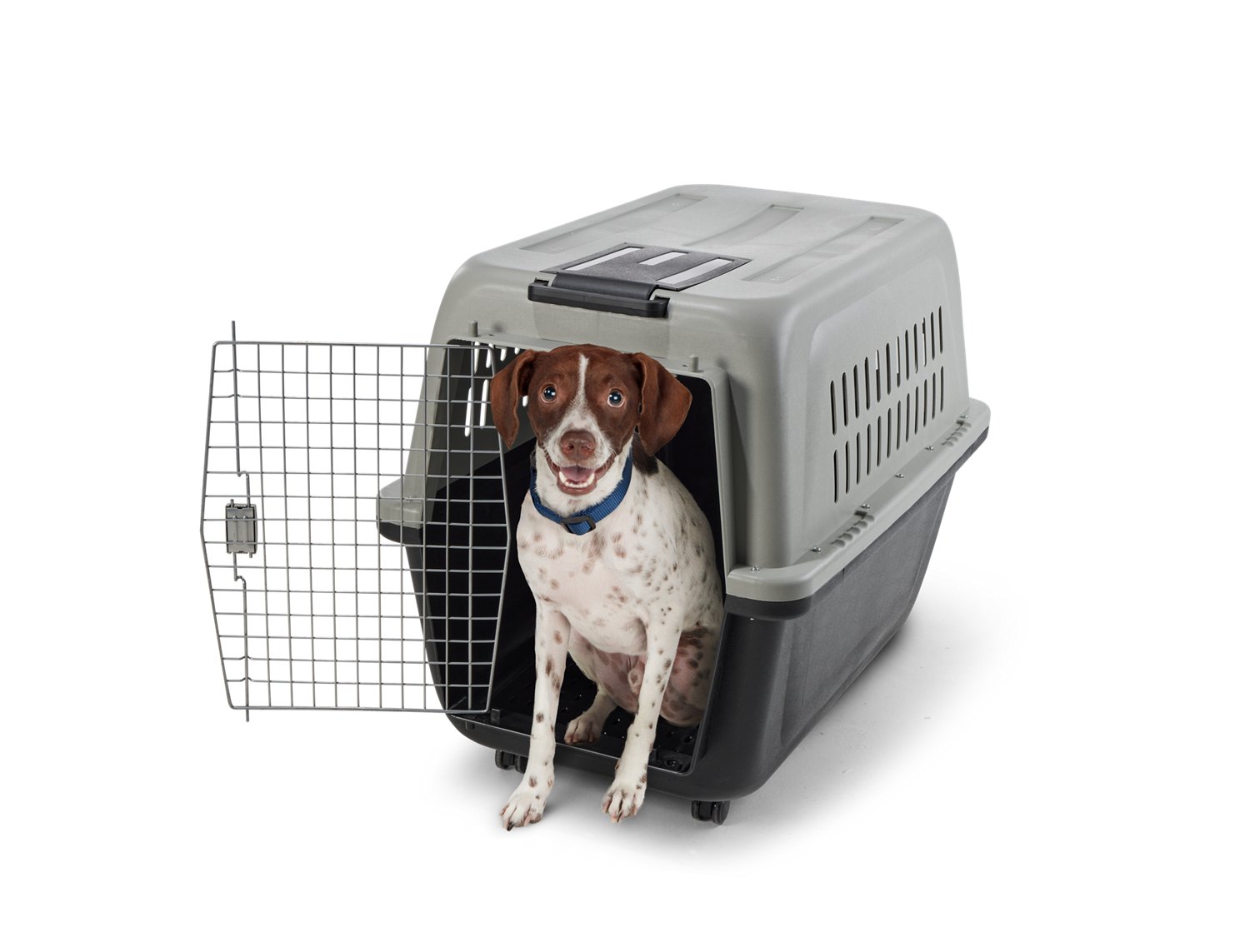 Academy 2025 dog crates