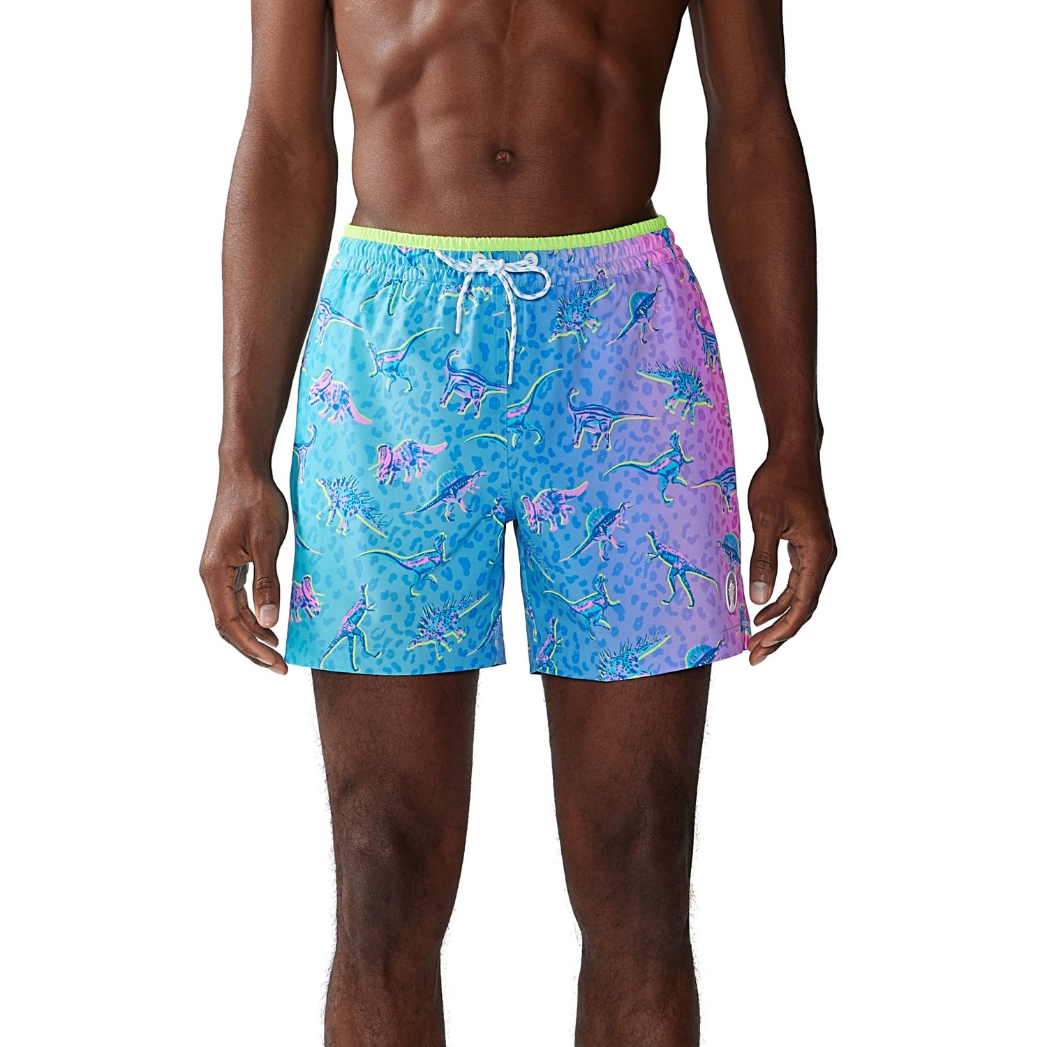 Chubbies dinosaur sale swim trunks