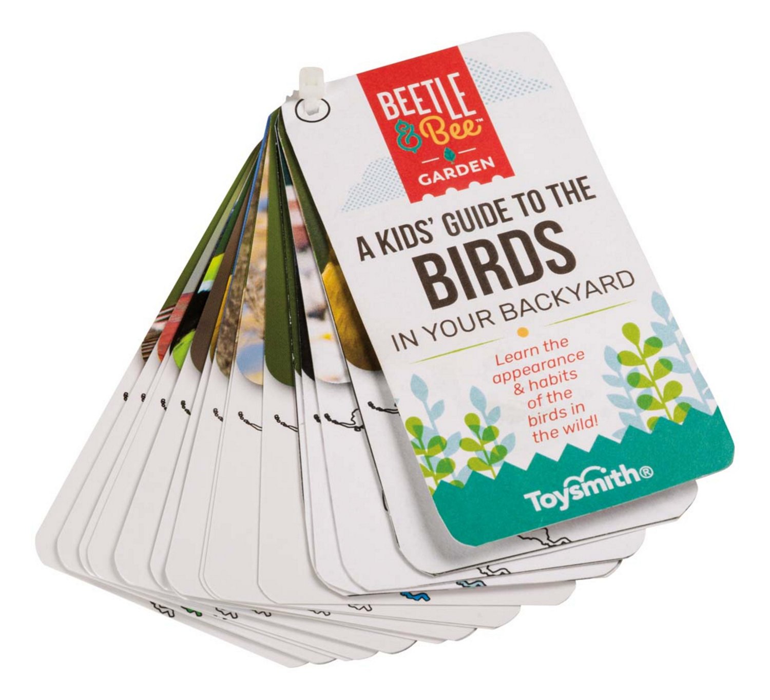 Toysmith Little Birder Set - view number 3