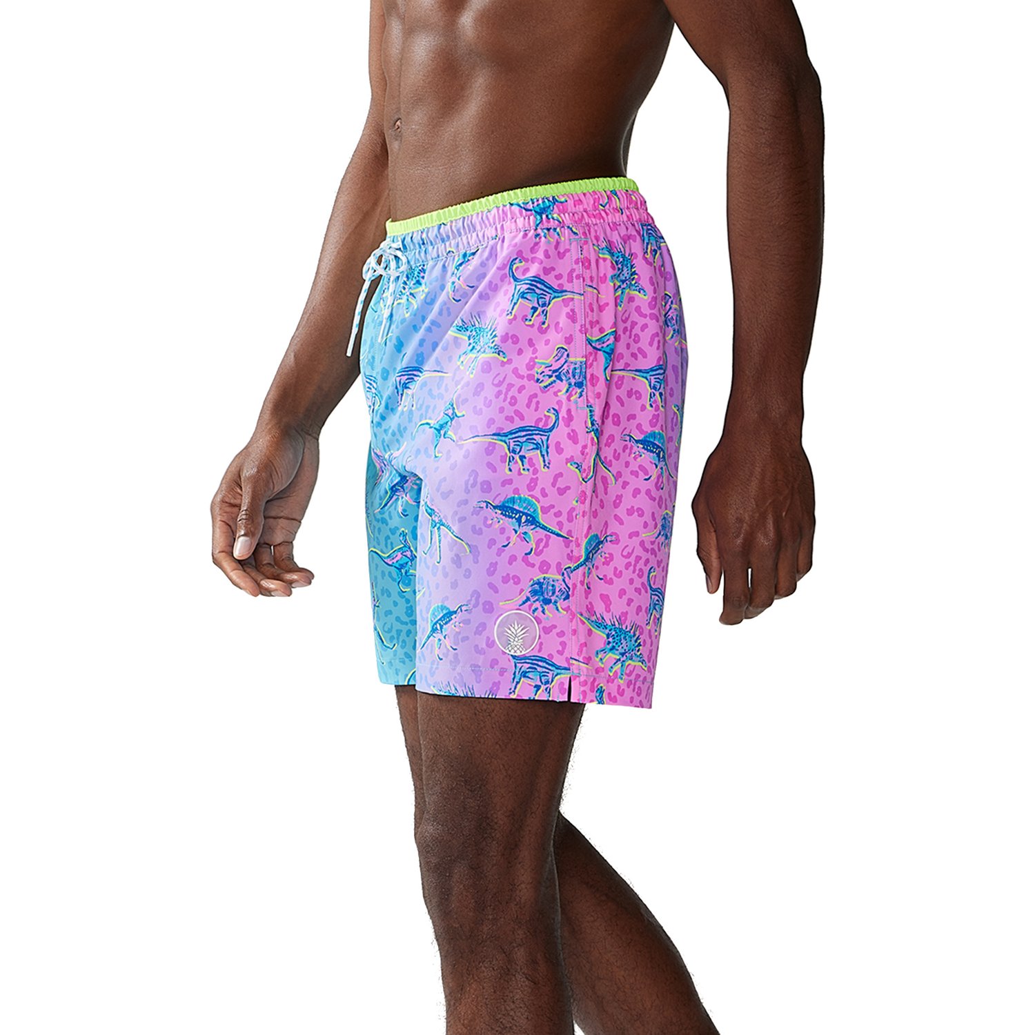 Chubbies Men's Dino Delights Swim Trunks 7 in Academy