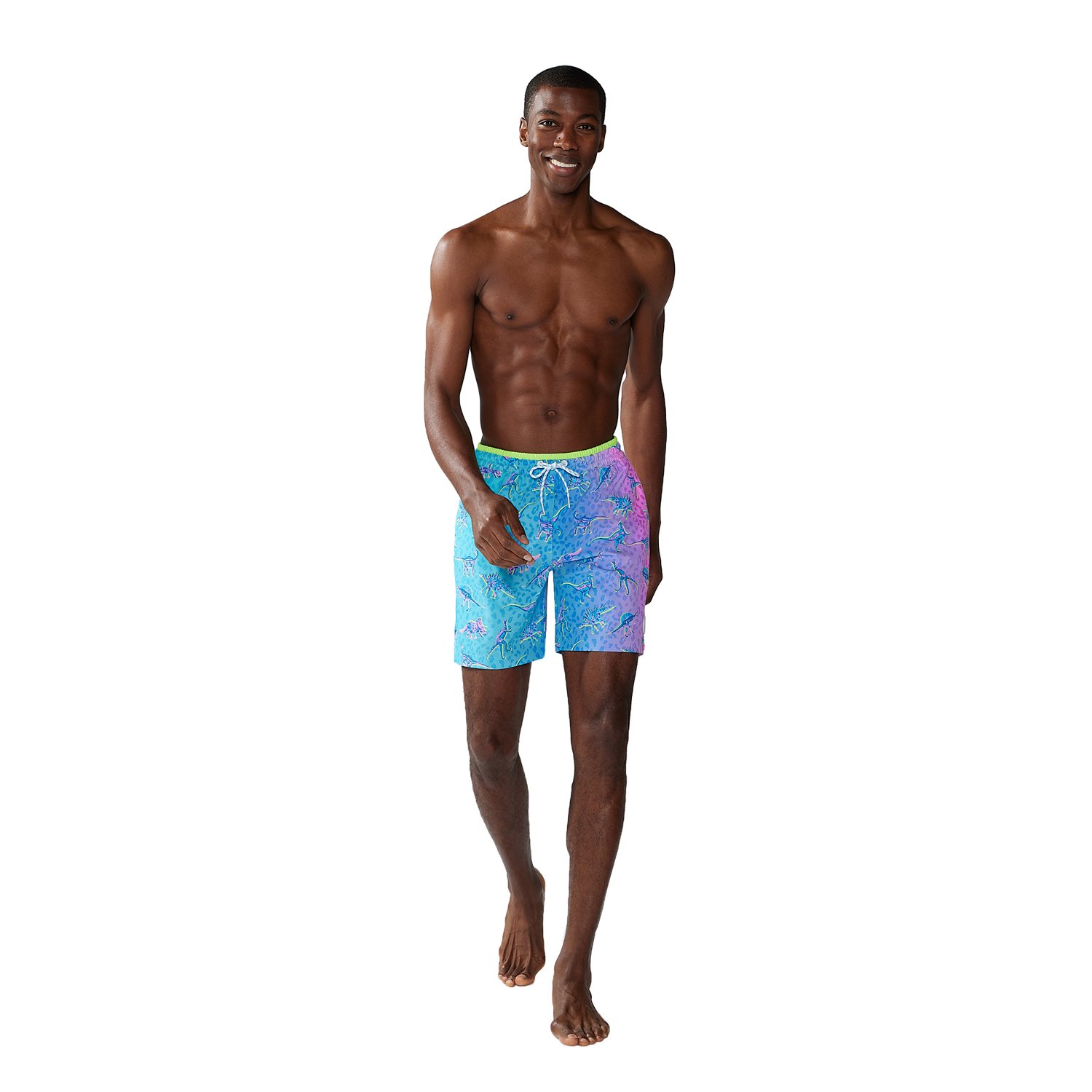 Chubbies Men s Dino Delights Swim Trunks 7 in Academy