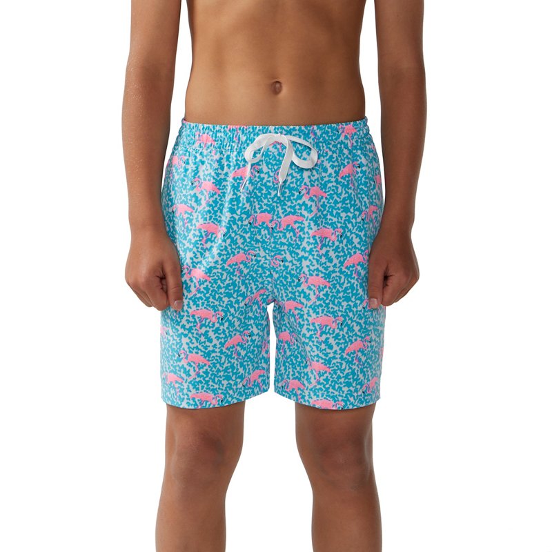 Chubbies Boys' Prin… - image