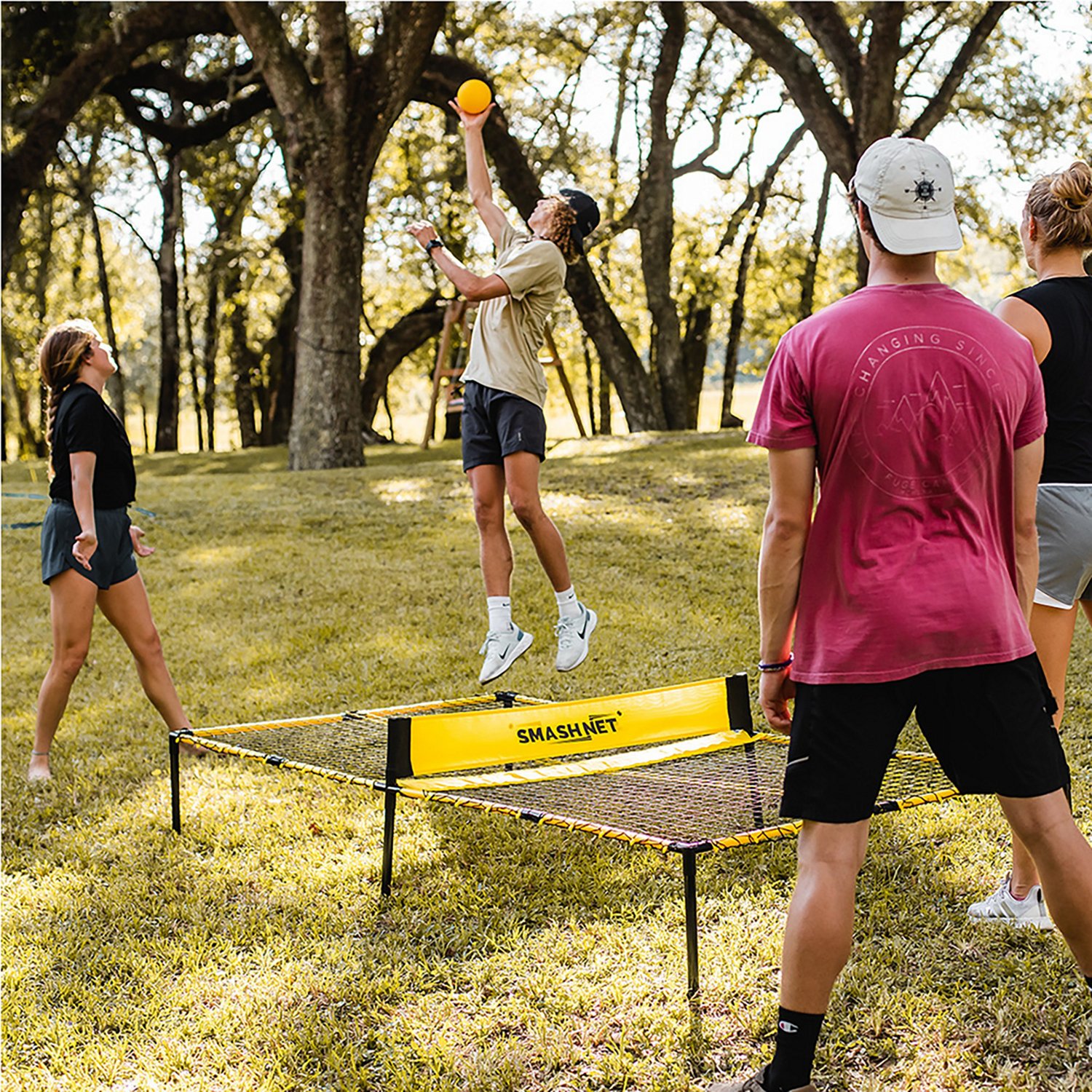 SmashNet                                                                                                                         - view number 7