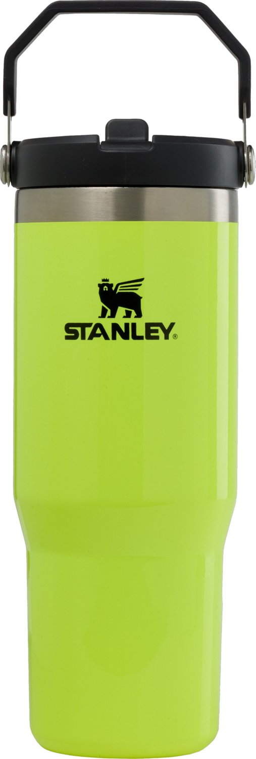 Stanley The IceFlow 30 oz Classic Flip Straw Tumbler