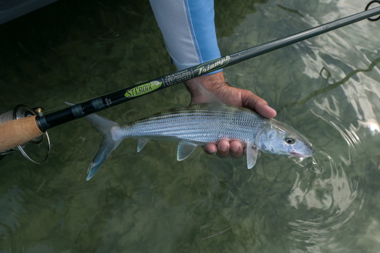 St. Croix Rod-Triumph Spinning Rod - view number 6