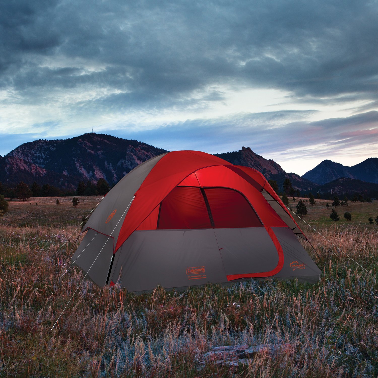 Coleman Flatwoods II Lightweight 6 Person Dome Camping Tent Academy