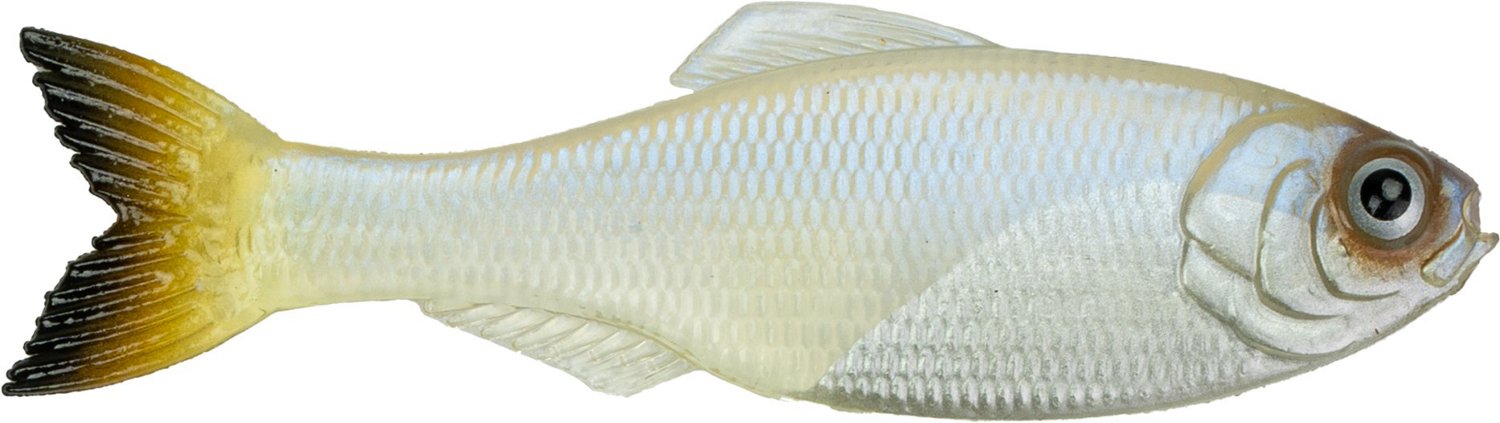 6th Sense Panorama 2.75 in Soft Baits 8-Pack - view number 1