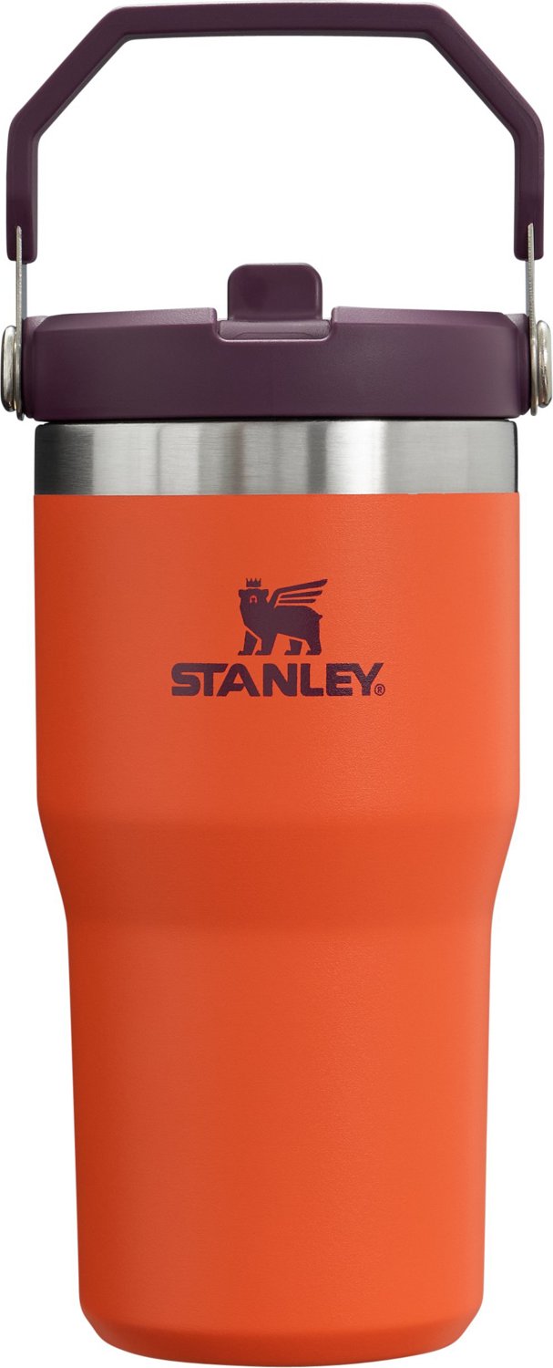 Stanley The IceFlow 20 oz Classic Flip Straw Tumbler                                                                             - view number 1