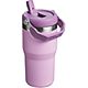 Stanley The IceFlow 20 oz Classic Flip Straw Tumbler                                                                             - view number 2